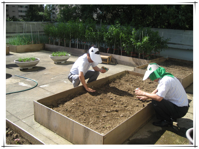 구의3동 채소농장 운영(09.06)