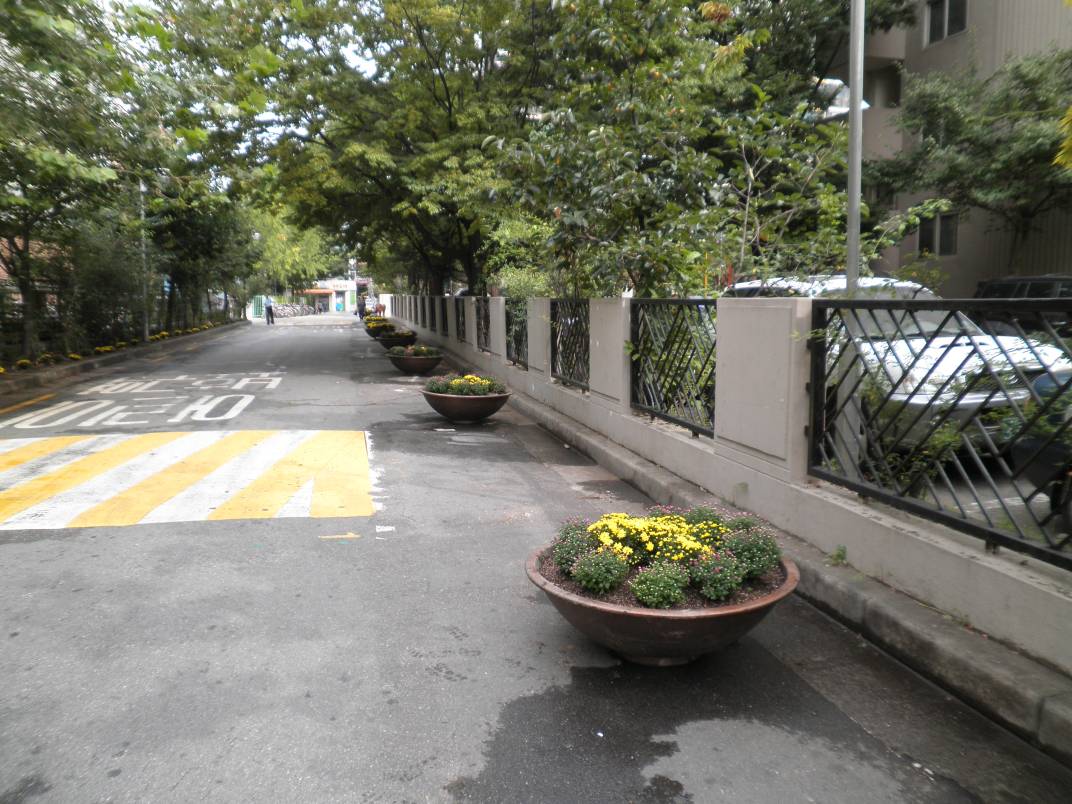 아름다운 마을안길 만들기 사업 추진