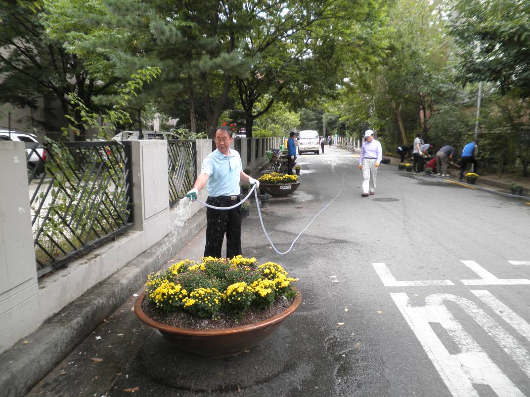 아름다운 마을안길 만들기 사업 추진