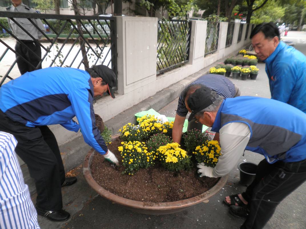 아름다운 마을안길 만들기 사업 추진