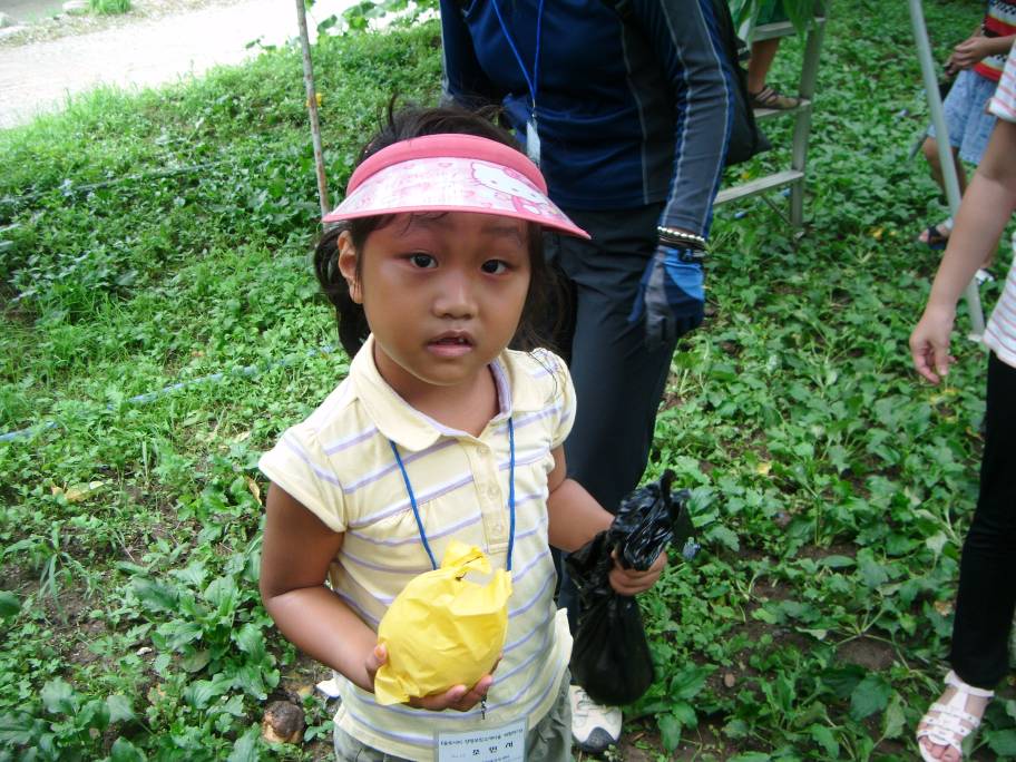 복숭아따기 체험