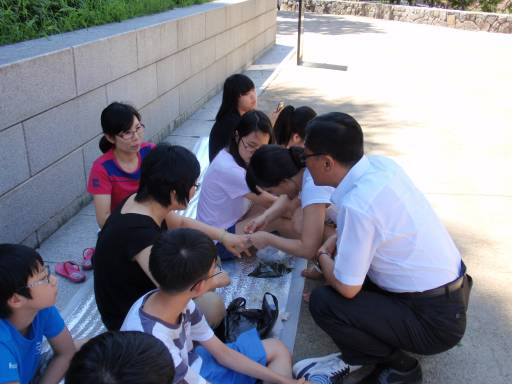 2011 새마을문고 봉숭아물들이기 행사