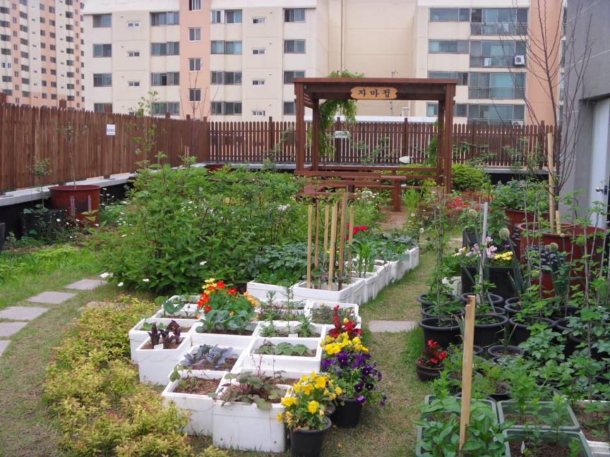 하늘공원 자마정 완공