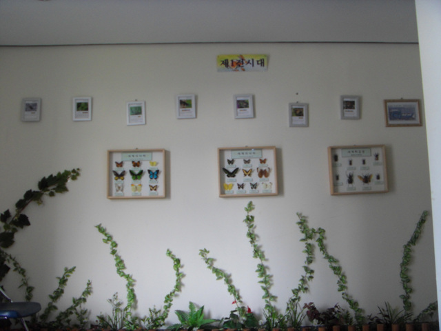 동주민센터 옥상정원 개방 