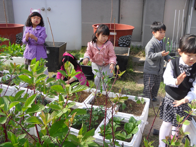 동주민센터 옥상정원 개방 