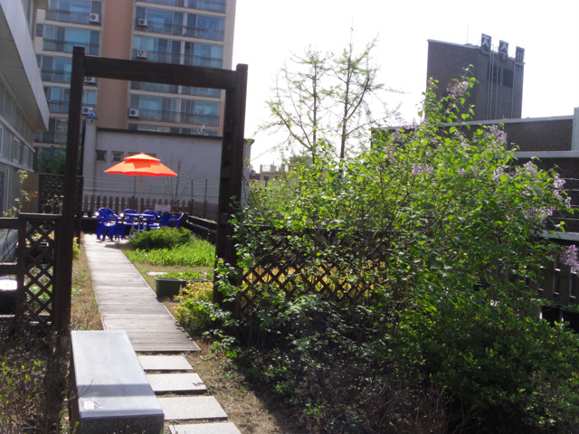 동주민센터 옥상정원 개방 