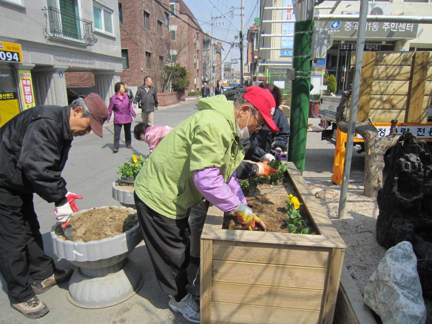 팬지를 심고 있습니다. 