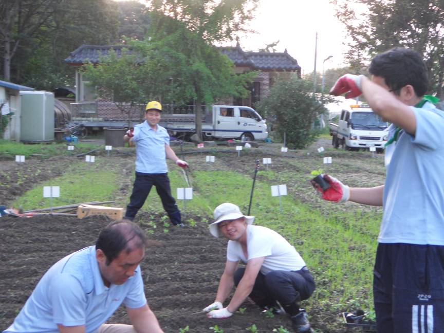 2010. 주말농장 배추모종심기
