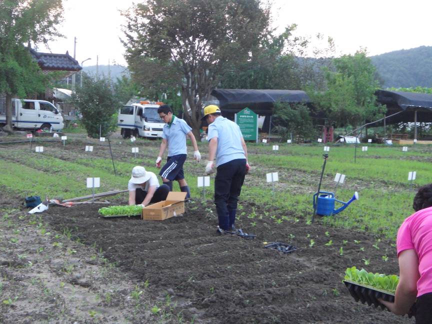 2010.9. 주말농장에 다녀오다!!