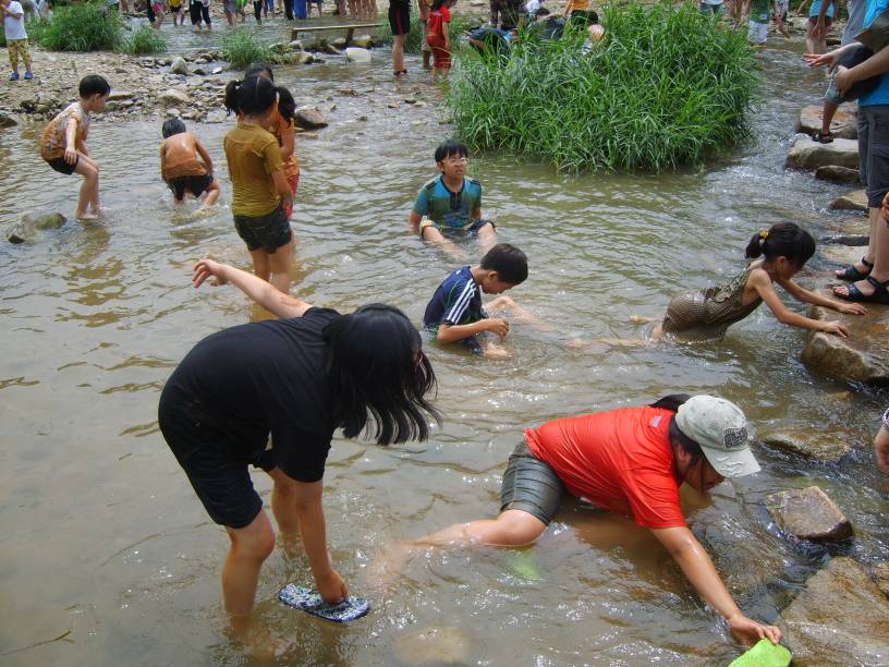 (농촌체험교실)물놀이 및 맨손송어잡기
