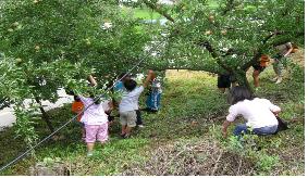 여름방학 농촌체험교실2