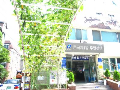 주민센터 정문에 탐스러운 박이 주렁주렁~