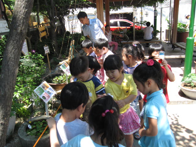 약초교실 견학-4(중곡어린이집)