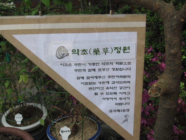약초교실-5