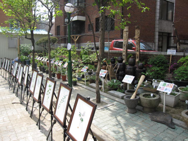 약초교실-3