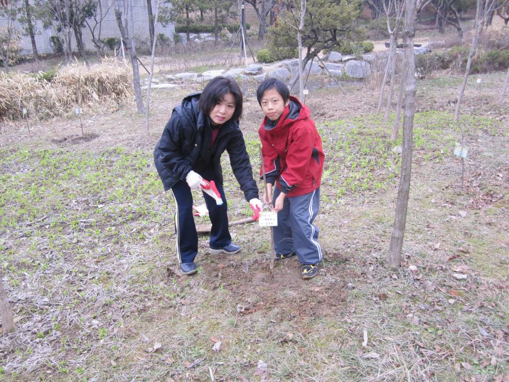 아차산 고구려 가족나무 숲 확대 조성5