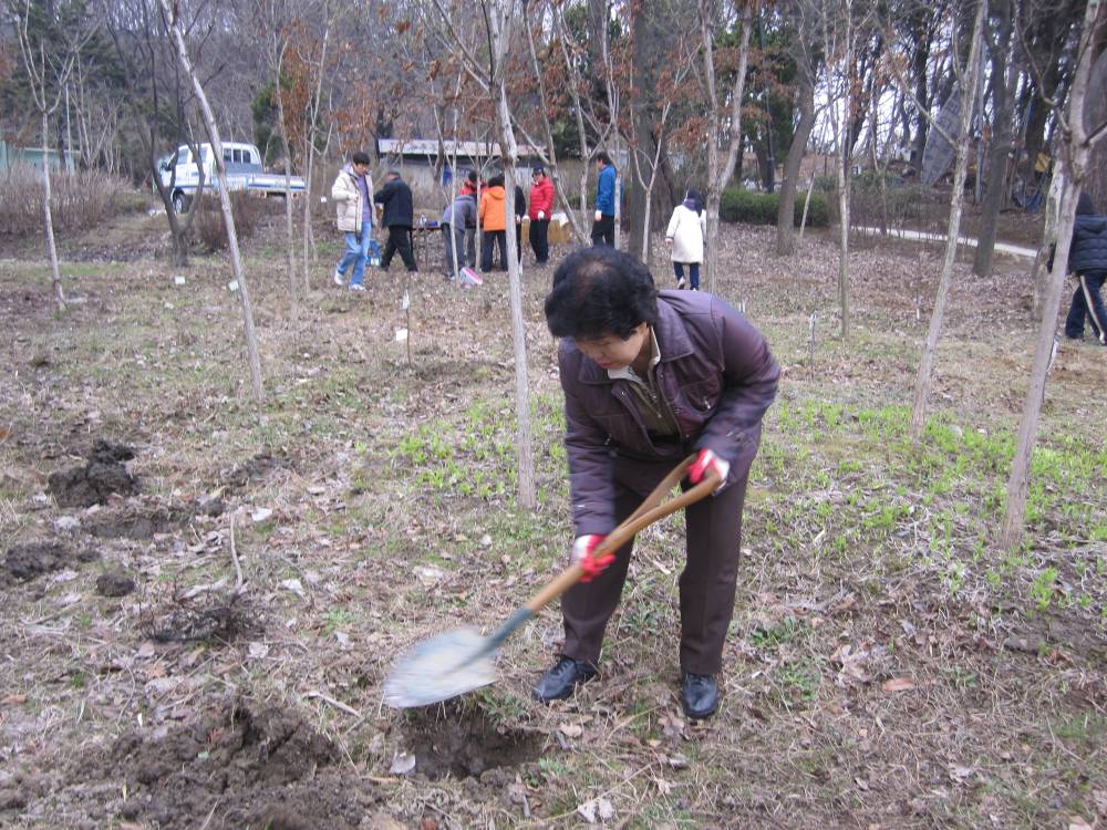 아차산 고구려 가족나무 숲 확대 조성3