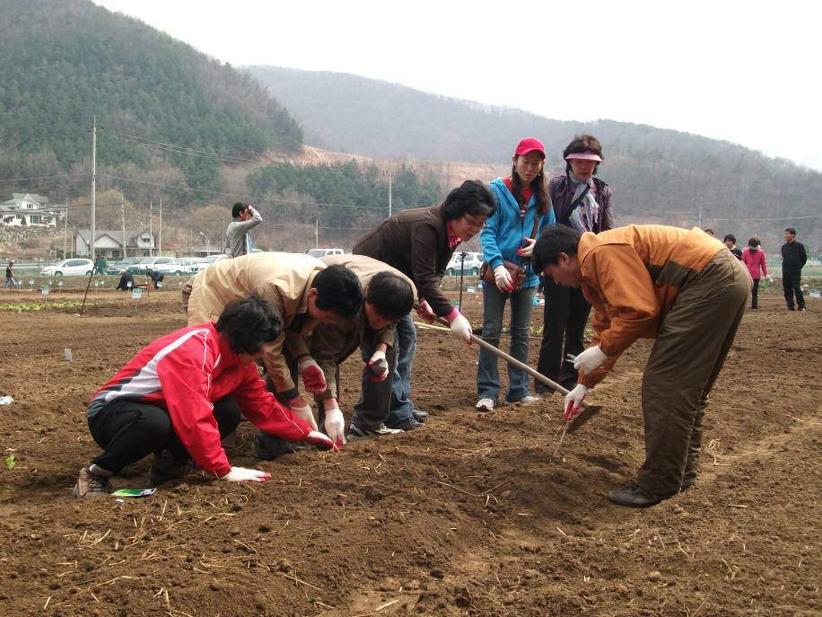 부용리 주말농장에서(2010.4.10)