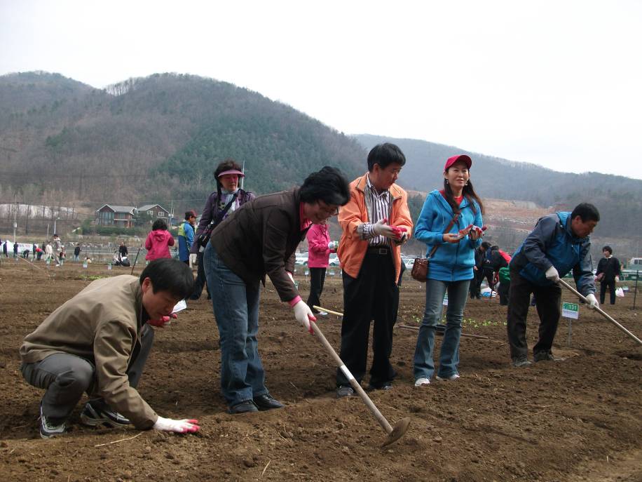 부용리 주말농장에서(2010.4.10)