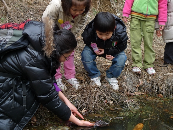 2010.3.17<푸른숲돋보기>