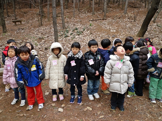 2010.3.17<푸른숲돋보기>