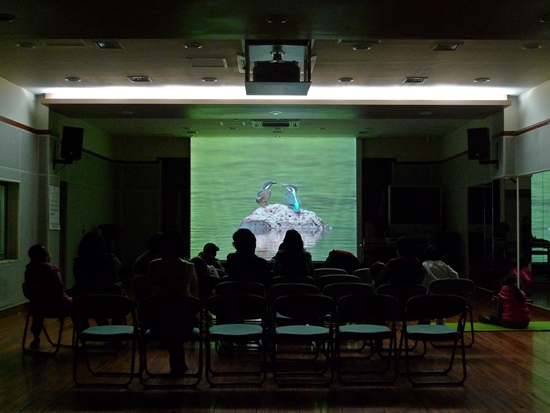 2010.3.6 푸른영화교실 <물총새부부의 여름나기>