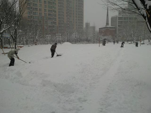 2010.1.5 구의공원 제설작업