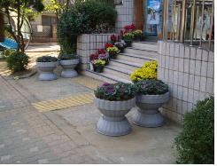 양배추 식재로 예뻐진 동청사~