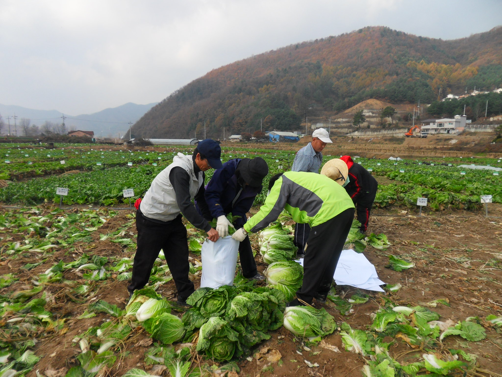 자루에 담기 