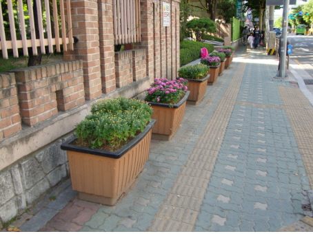 자양3동 주변~ 꽃으로 단장했어요~~^-^