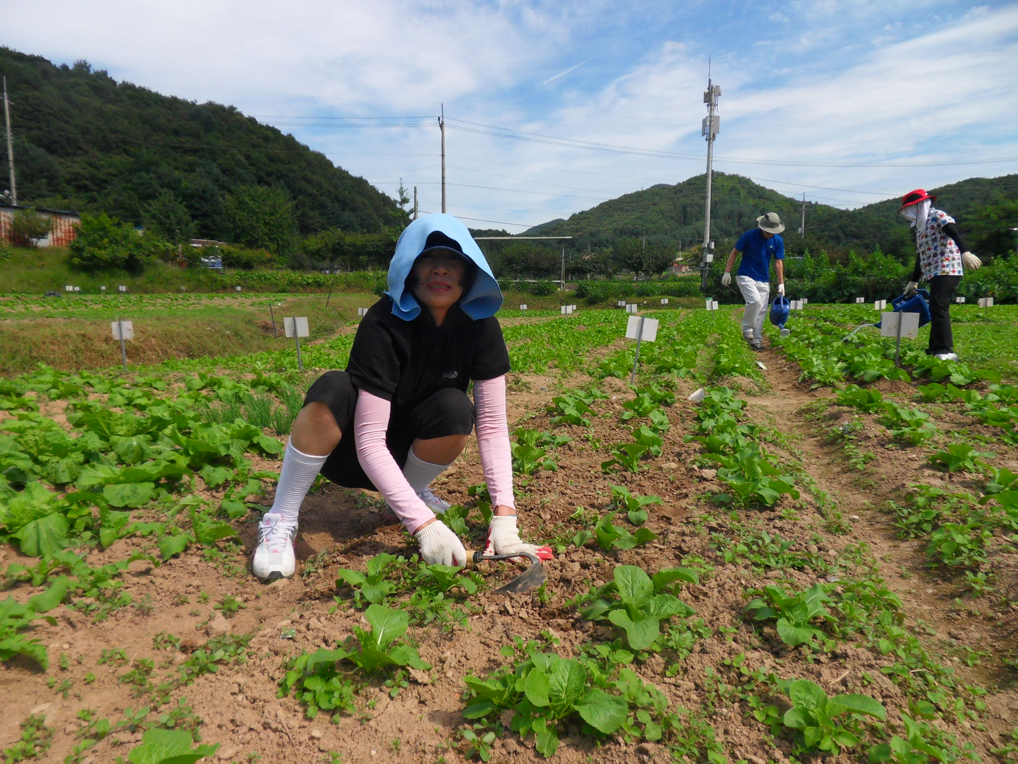 열심히 일하시는 통장님