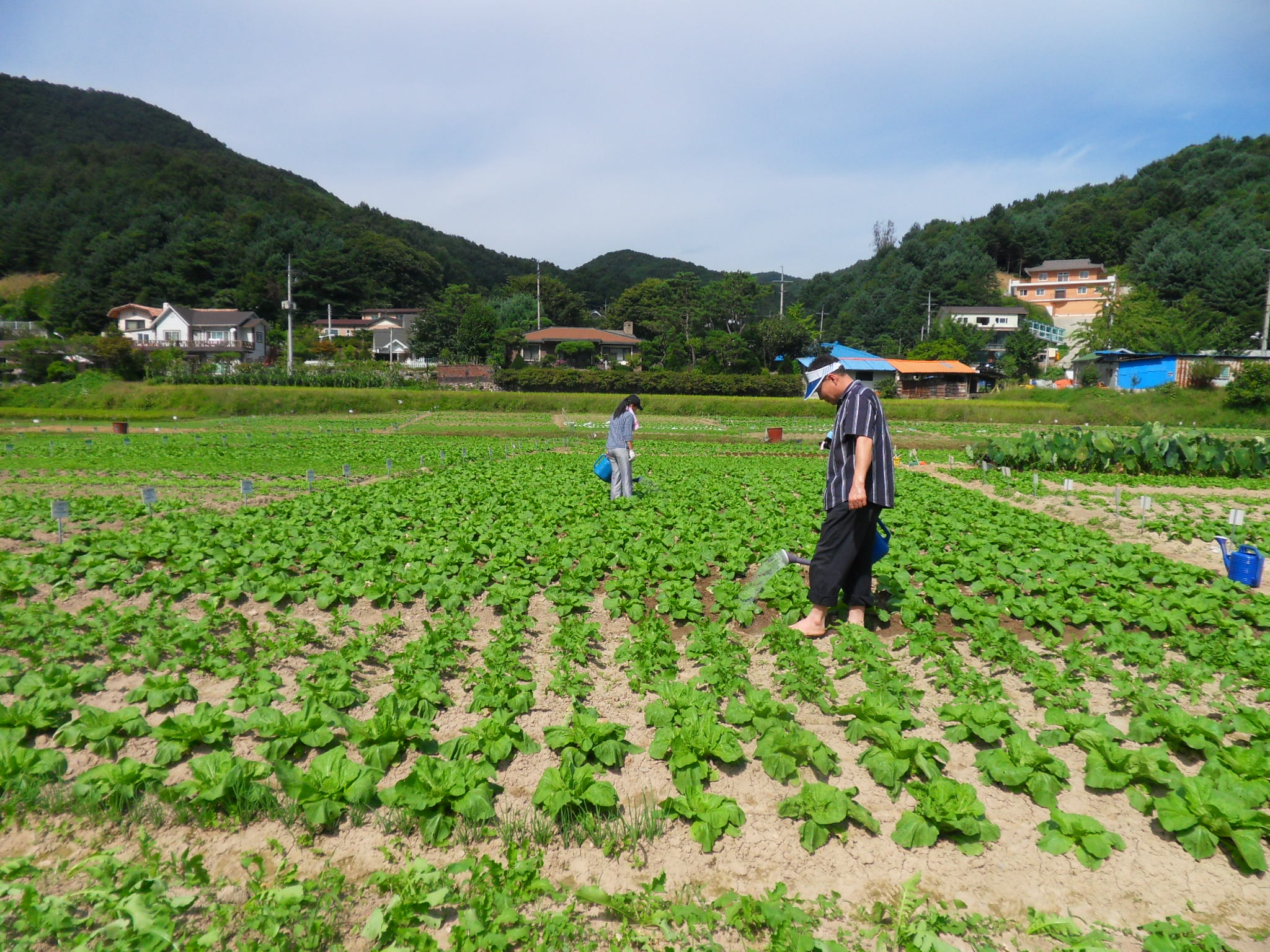 물 주는 모습(9.10)