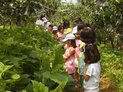 자양권역 농촌체험프로그램 개최3