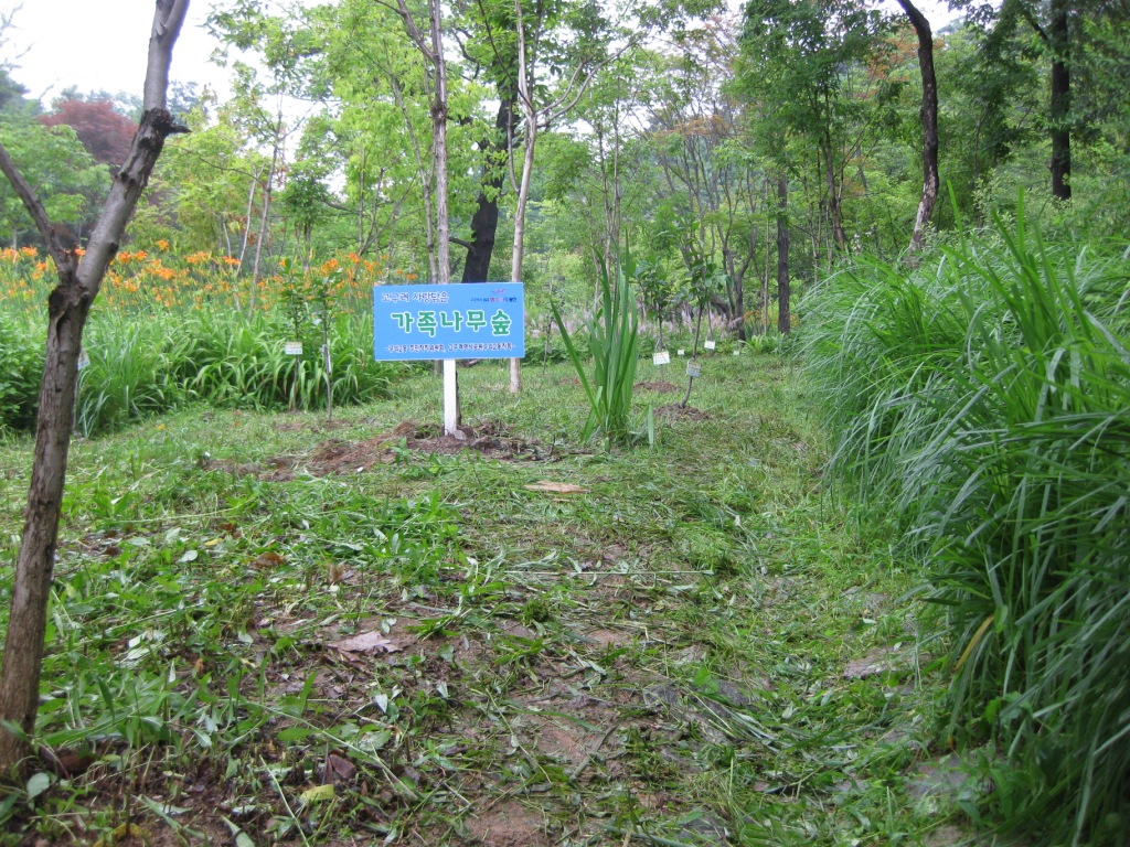 고구려 사랑담은 가족나무 숲4