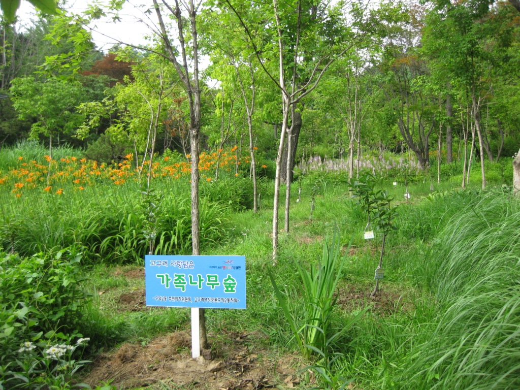 고구려 사랑담은 가족나무 숲2