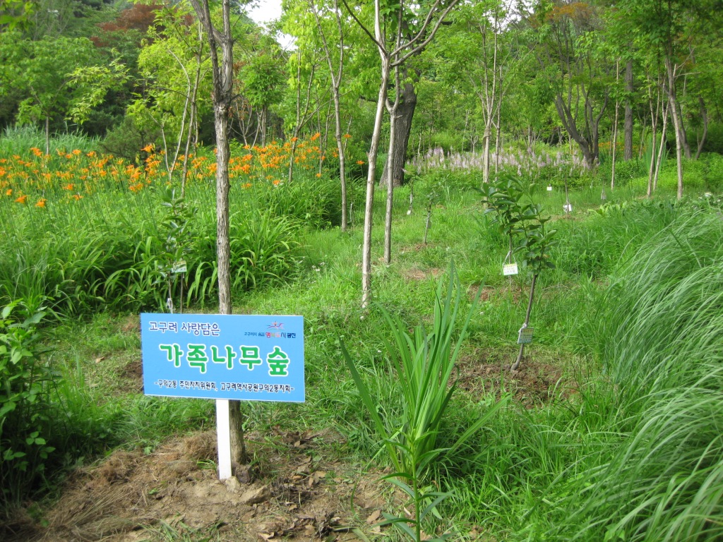 고구려 사랑담은 가족나무 숲1