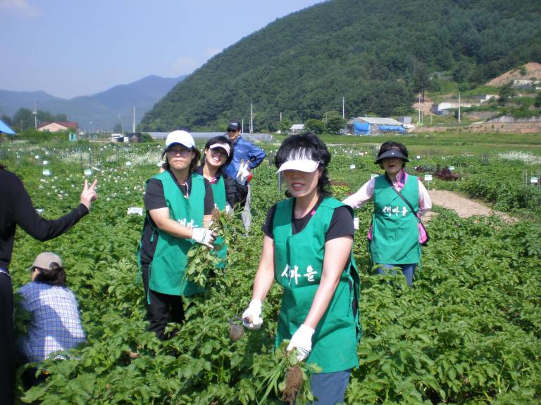 주말농장 친환경 재배체험행사(6.13)