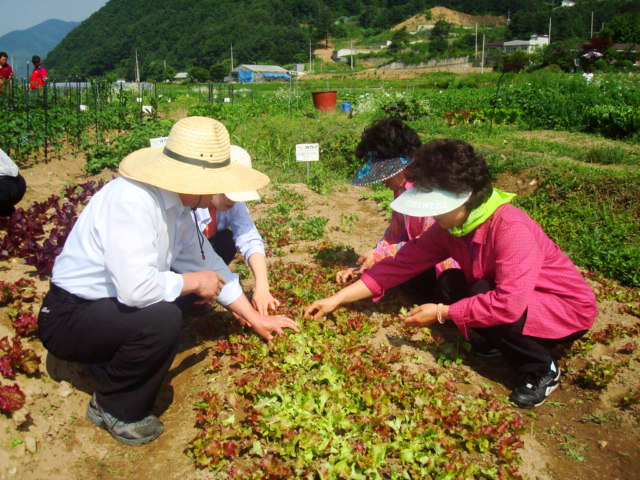 광진구 주말농장