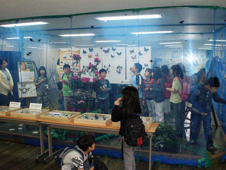 신기한 곤충 전시회