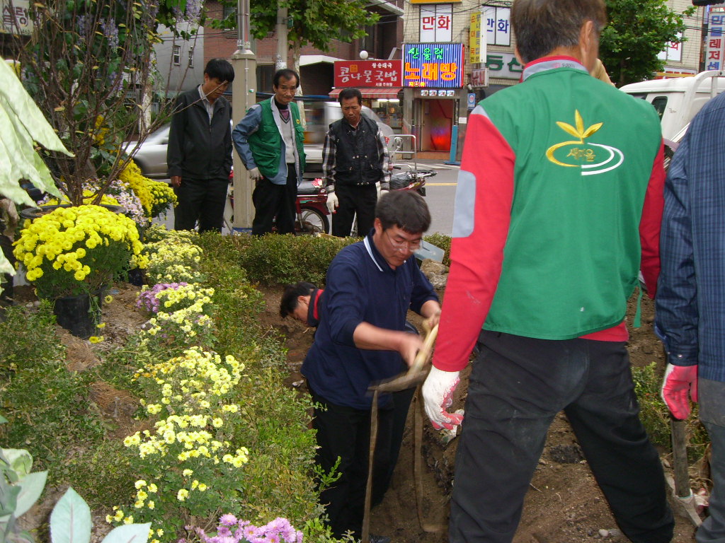 짜투리땅 녹화(11/7)
