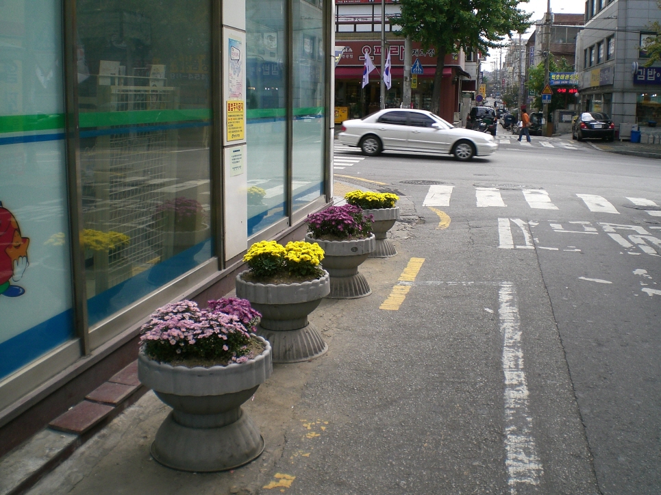 무단투기 단속3