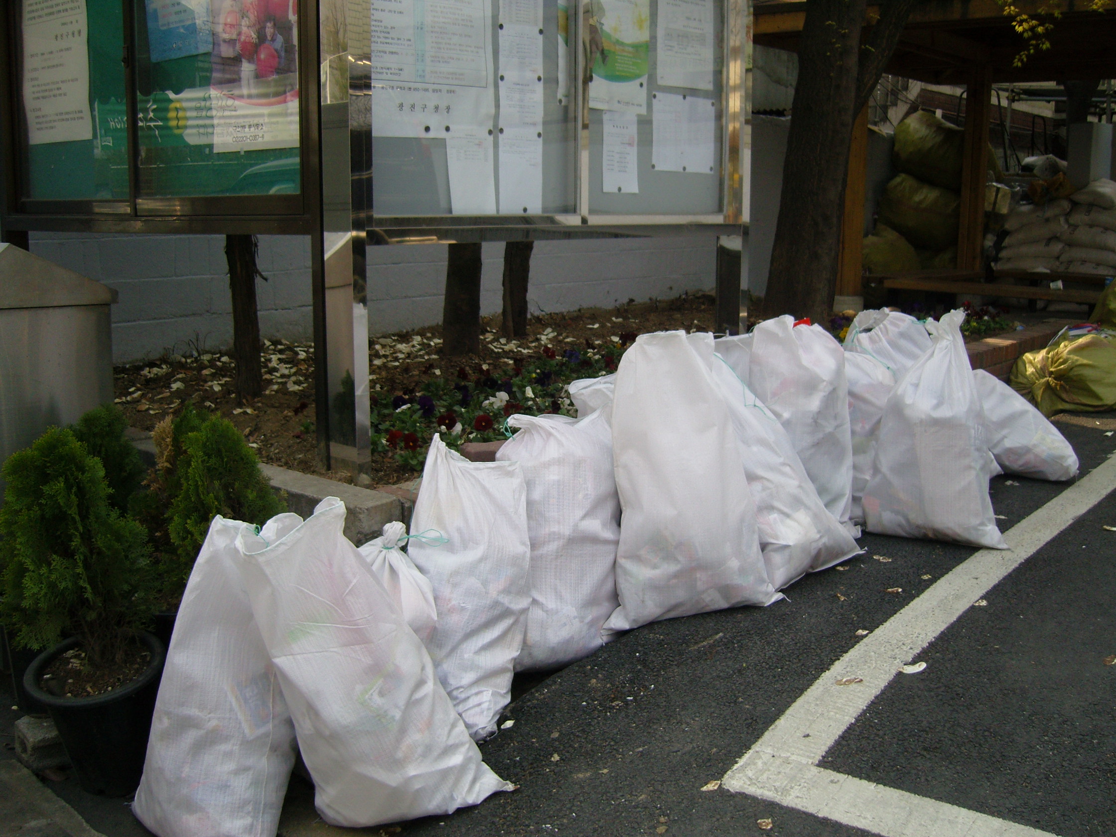 학생환경자율봉사단 청소실적3 