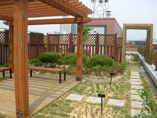 자양1동 옥상정원으로 놀러오세요~ 2탄