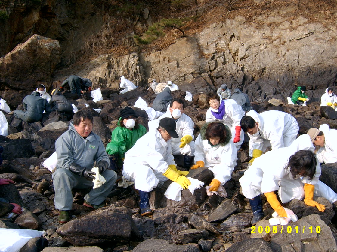 태안반도 자원봉사