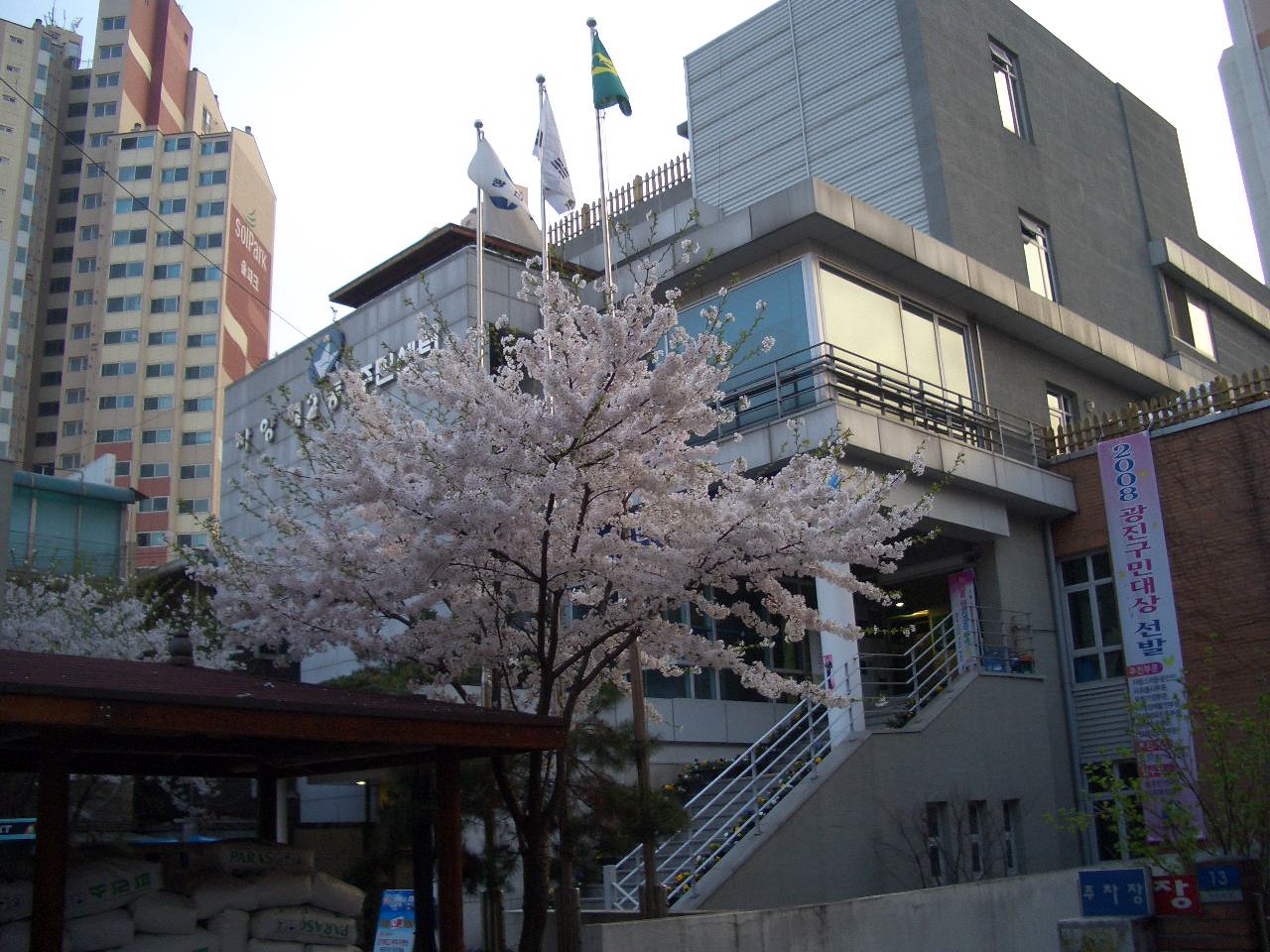 자양2동 주민센터로 벚꽃 보러오세요