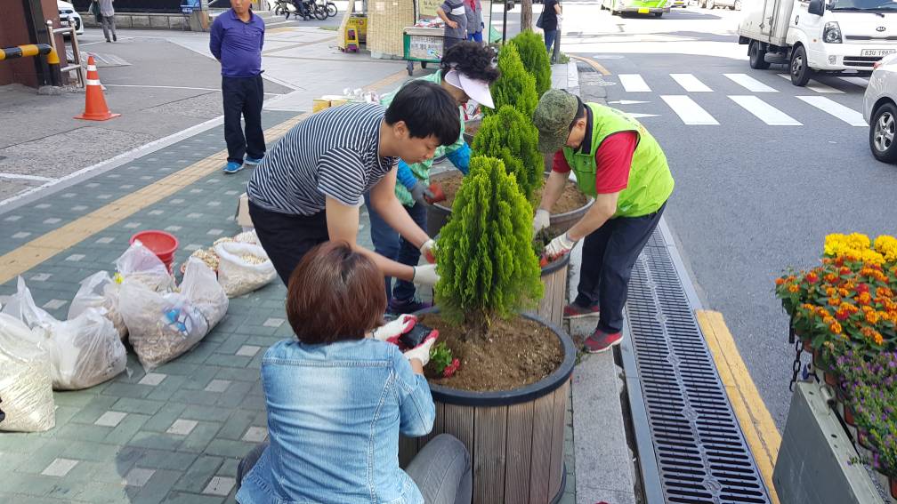 우리동네 여름 꽃거리 조성