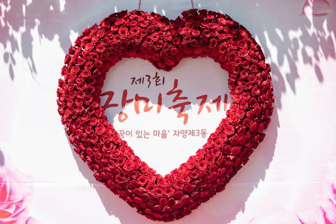 2019 자양3동 장미축제