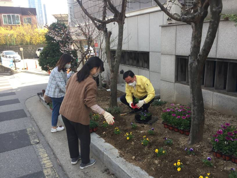  우리동네 꽃거리 봄꽃 식재