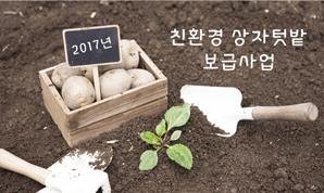 친환경 상자텃밭 보급사업