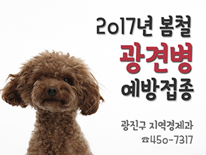 2017년 봄철 광견병 예방접종